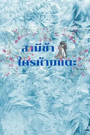 ปกนิยาย สามีข้าใครห้ามแตะ