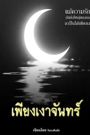 ปกนิยาย