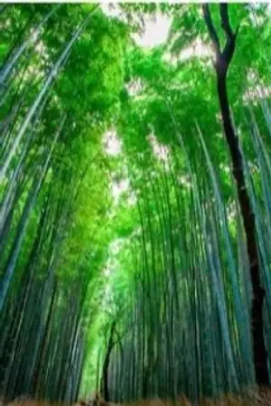 ปกนิยาย ย้อนรอยสู่รัก