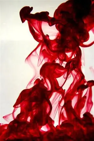 ปกนิยาย คดีแค้นฝังคน