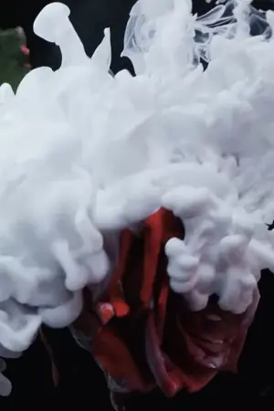 ปกนิยาย ◈ Ω ◈ของเล่นㅣป๋อจ้าน