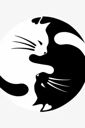 ปกนิยาย วิรุณ์เวฬา (ตอนสายฝนแห่งหัวใจ)