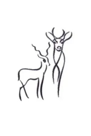 ปกนิยาย 2deer