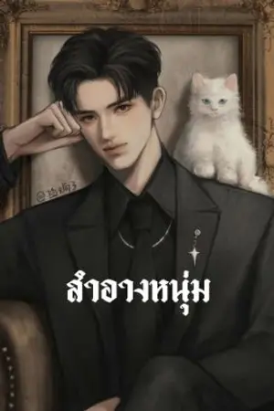 ปกนิยาย สำอางหนุ่ม