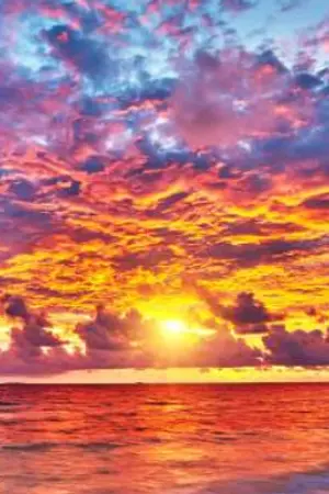 ปกนิยาย Fate/Forever