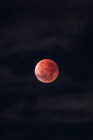 ปกนิยาย คำสาปของอสูร