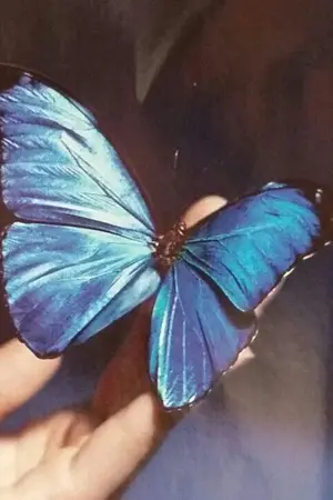 ปกนิยาย [ SF/OS ] Butterfly Effect BTS #คลังฟิคซิน