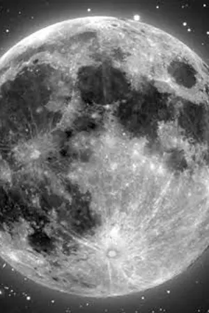 ปกนิยาย พระจันทร์สีดำ เฮยเย่วเหลียง