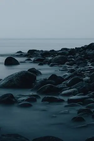 ปกนิยาย Rule Set