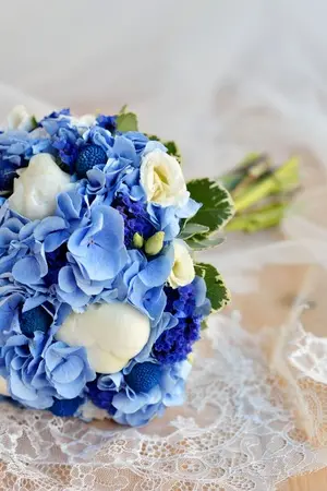 ปกนิยาย นายเจ้าขา