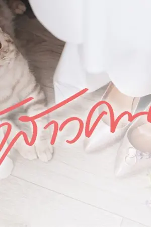 ปกอีบุ๊ก