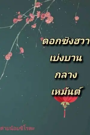 ปกนิยาย