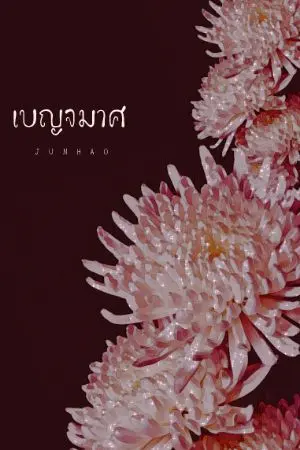 ปกนิยาย