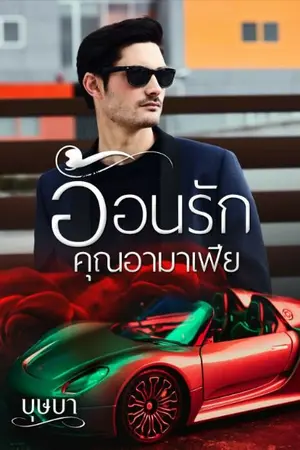 ปกนิยาย อ้อนรักคุณอามาเฟีย