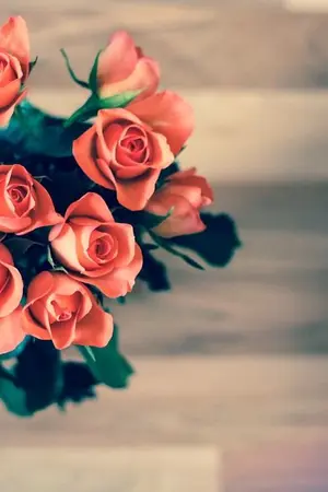 ปกนิยาย รักของผม ใจของเธอ