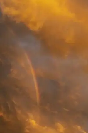 ปกนิยาย บันทึกของผู้รอดชีวิตยุคซอมบี้