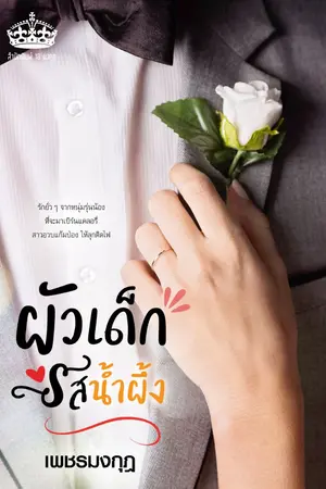 ปกนิยาย