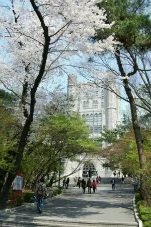 ปกนิยาย 💏Miracle High School💏