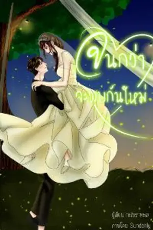 ปกนิยาย จนกว่าพบกันใหม่