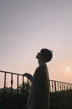 ปกนิยาย Diary of Pine