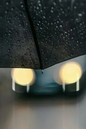 ปกนิยาย คุณหนูอย่างฉันจะทวงครอบครัวคืน