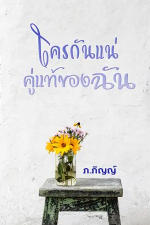 ปกนิยาย ใครกันแน่คู่แแท้ของฉัน