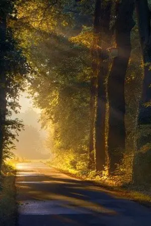 ปกนิยาย [นิยายแปล] พรสวรรค์ของฉันสามารถพัฒนาได้อย่างต่อเนื่อง