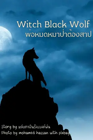 ปกนิยาย Which Black Wolf หมาป่าต้องสาป