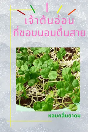 ปกนิยาย เจ้าต้นอ่อนที่ชอบนอนตื่นสาย