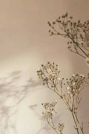 ปกนิยาย [Hogwarts AU] Secretly dating [Dramione]