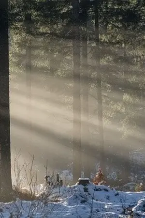 ปกนิยาย ไปต่างโลกทั้งที... ขอนอนดีกว่า