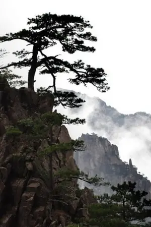 ปกนิยาย บังเอิญเป็นเจ้าสำนัก