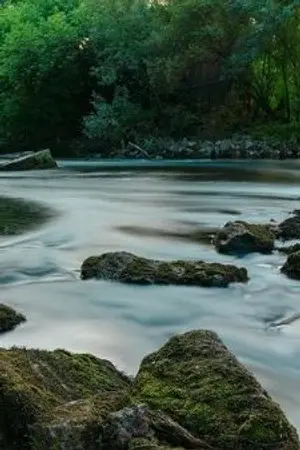 ปกนิยาย Forbidden man ฉันแมนทั้งแท่ง