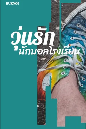 ปกนิยาย