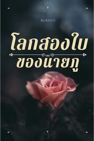 ปกนิยาย