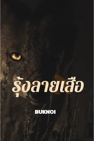 ปกนิยาย