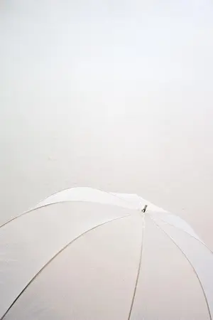 ปกนิยาย UMBRELLA's [BLEACH Fanfic] : GinHitsu