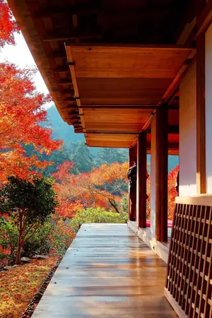 ปกนิยาย หากรักใยเย็นชา