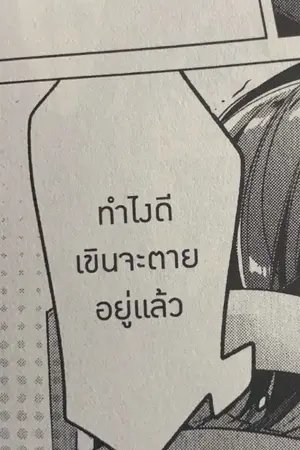 ปกนิยาย secretly like