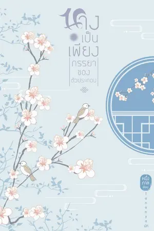 ปกนิยาย นางเป็นเพียงภรรยาของตัวประกอบ