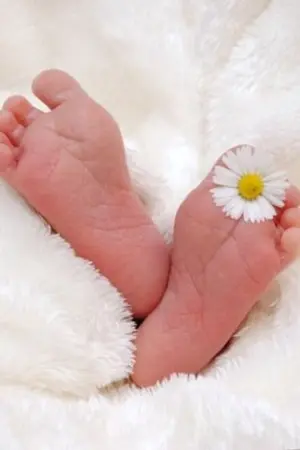 ปกนิยาย พี่ครับผมท้อง | yaoi (Mperg)