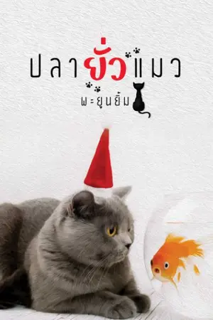 ปกนิยาย