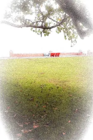 ปกนิยาย รักหมดใจยัยลูกหมู