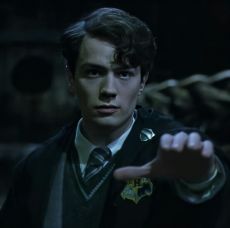 ปกนิยาย Fic Harry Potter : Hydrangea