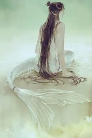 ปกนิยาย [ฟิคป๋อจ้าน] เงือกจ้าน #ป๋อจ้าน