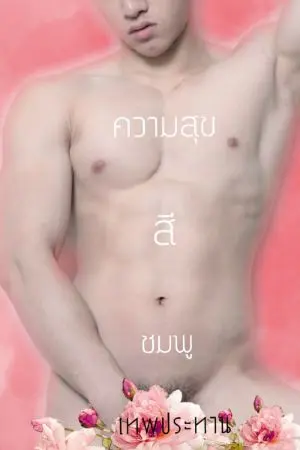 ปกนิยาย