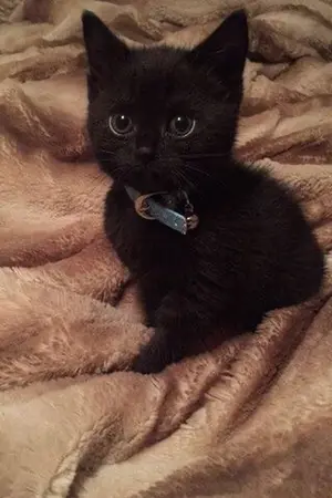 ปกนิยาย ผมเรียกมันว่าชีวิตหลังความตาย