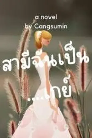 ปกนิยาย สามีฉันเป็น...เกย์