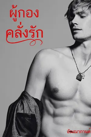 ปกนิยาย ผู้กองคลั่งรัก