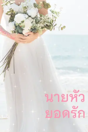 ปกนิยาย